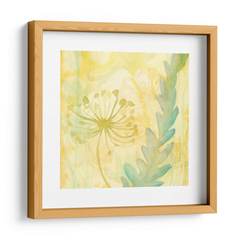 Florid Garden Ii - Renee W. Stramel | Cuadro decorativo de Canvas Lab