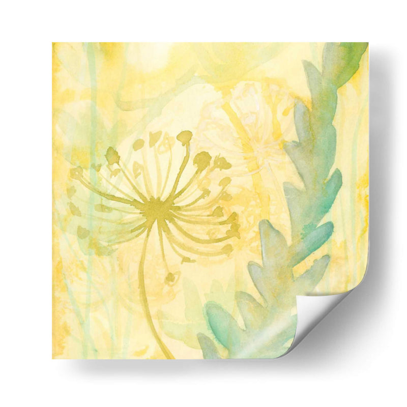 Florid Garden Ii - Renee W. Stramel | Cuadro decorativo de Canvas Lab