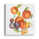 Cosecha Mexley I - Chariklia Zarris | Cuadro decorativo de Canvas Lab