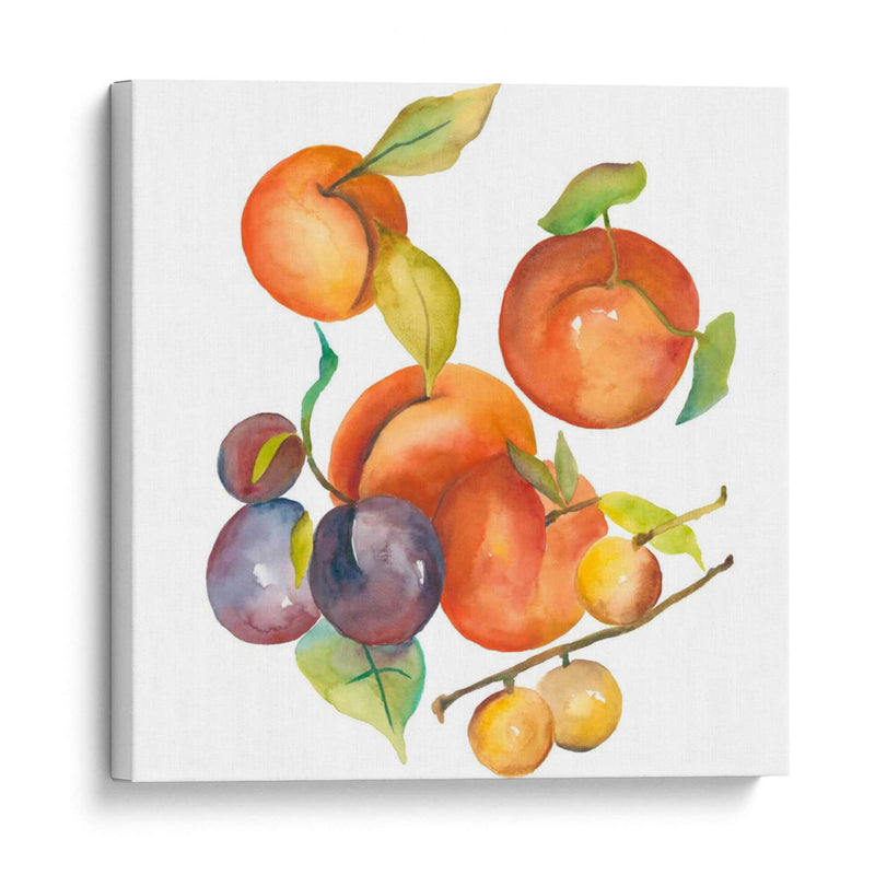 Cosecha Mexley I - Chariklia Zarris | Cuadro decorativo de Canvas Lab