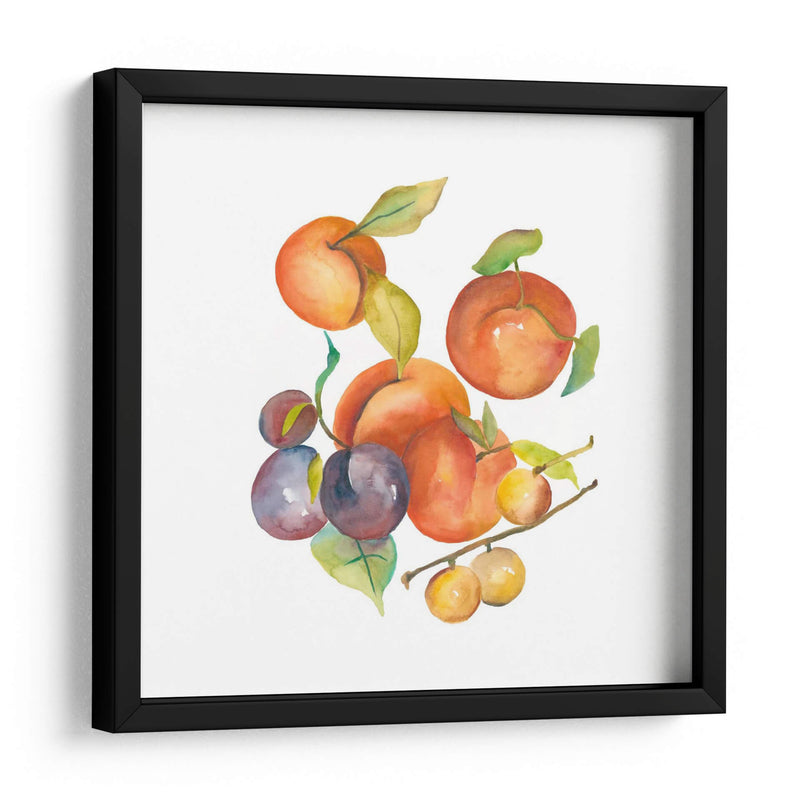 Cosecha Mexley I - Chariklia Zarris | Cuadro decorativo de Canvas Lab