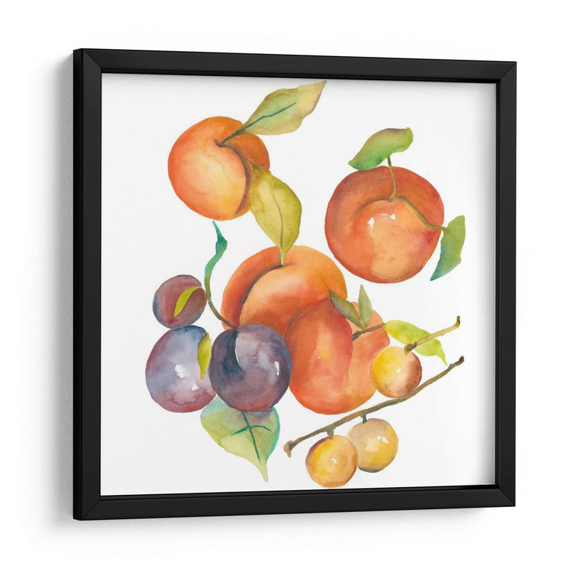 Cosecha Mexley I - Chariklia Zarris | Cuadro decorativo de Canvas Lab