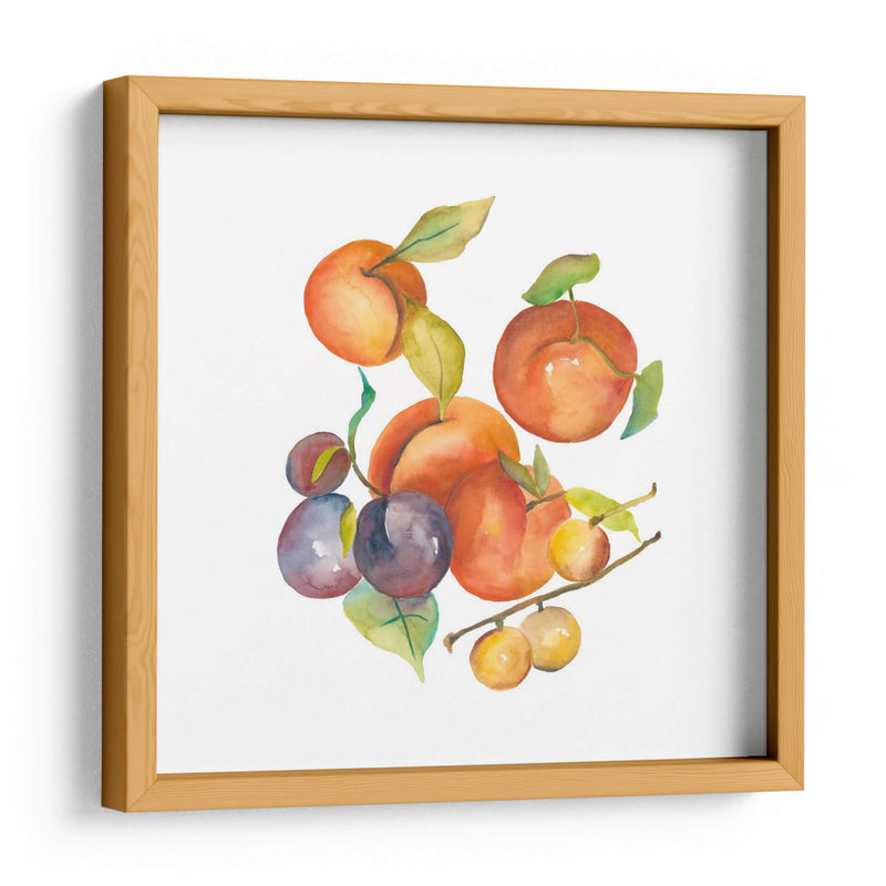 Cosecha Mexley I - Chariklia Zarris | Cuadro decorativo de Canvas Lab