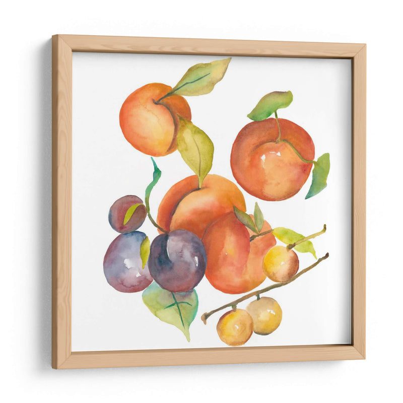 Cosecha Mexley I - Chariklia Zarris | Cuadro decorativo de Canvas Lab