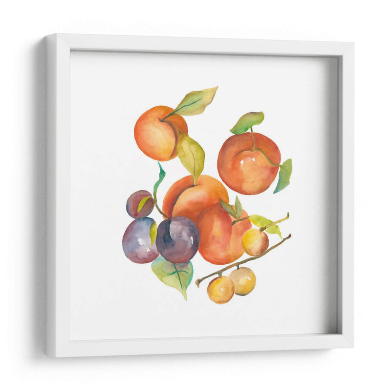 Cosecha Mexley I - Chariklia Zarris | Cuadro decorativo de Canvas Lab