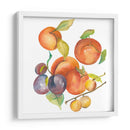 Cosecha Mexley I - Chariklia Zarris | Cuadro decorativo de Canvas Lab