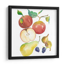 Cosecha Medley Ii - Chariklia Zarris | Cuadro decorativo de Canvas Lab