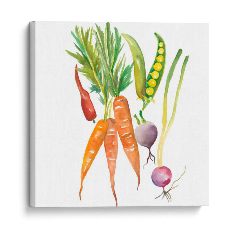 Cosecha Medley Iv - Chariklia Zarris | Cuadro decorativo de Canvas Lab