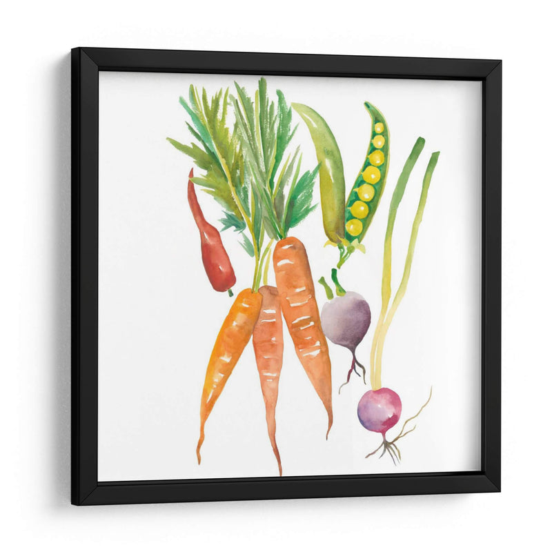 Cosecha Medley Iv - Chariklia Zarris | Cuadro decorativo de Canvas Lab