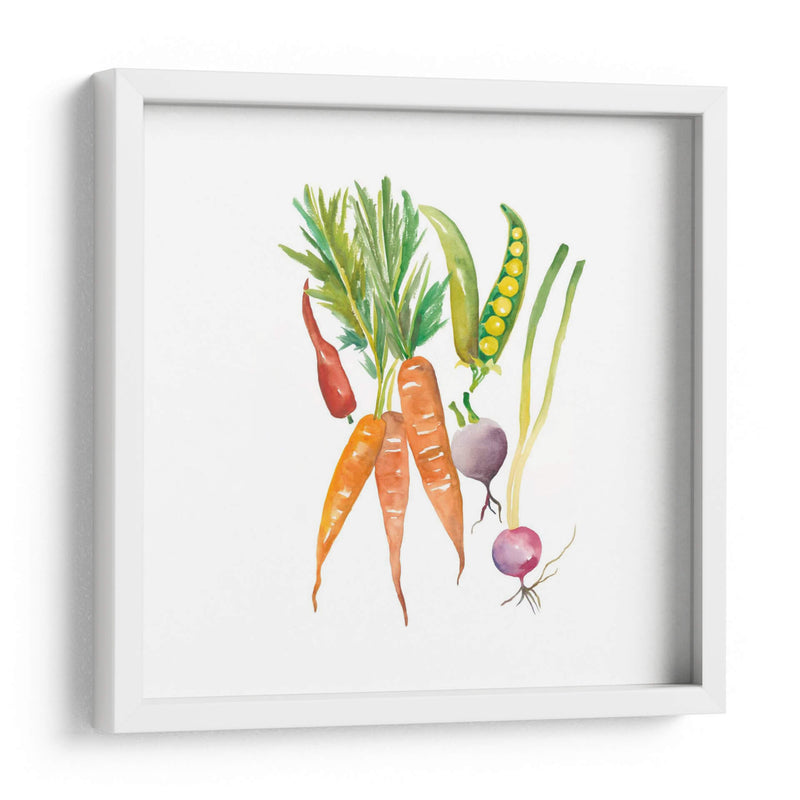 Cosecha Medley Iv - Chariklia Zarris | Cuadro decorativo de Canvas Lab