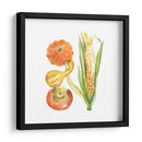 Cosechar Medley V - Chariklia Zarris | Cuadro decorativo de Canvas Lab