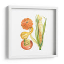 Cosechar Medley V - Chariklia Zarris | Cuadro decorativo de Canvas Lab