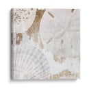 Conchas Blancas I - Irena Orlov | Cuadro decorativo de Canvas Lab
