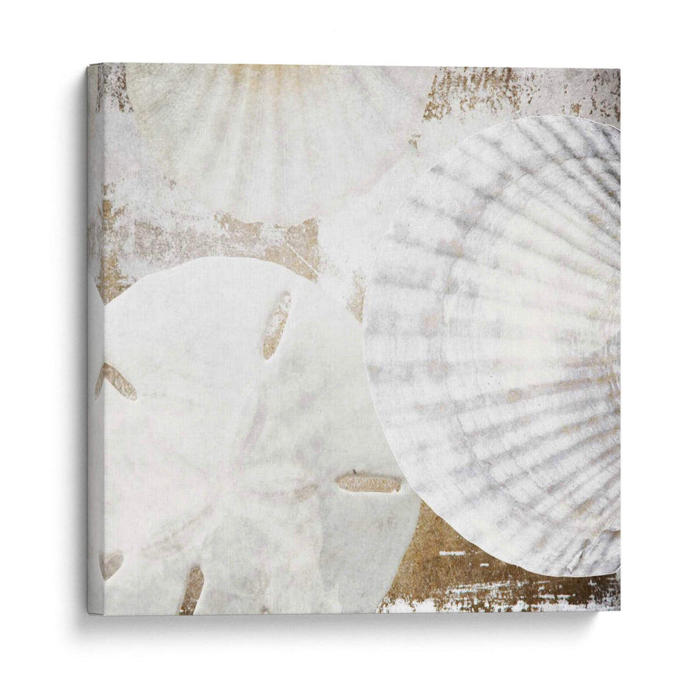 Conchas Blancas Ii - Irena Orlov | Cuadro decorativo de Canvas Lab