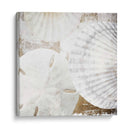 Conchas Blancas Ii - Irena Orlov | Cuadro decorativo de Canvas Lab