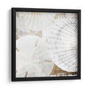 Conchas Blancas Ii - Irena Orlov | Cuadro decorativo de Canvas Lab