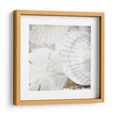 Conchas Blancas Ii - Irena Orlov | Cuadro decorativo de Canvas Lab