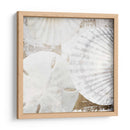 Conchas Blancas Ii - Irena Orlov | Cuadro decorativo de Canvas Lab