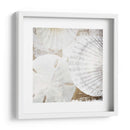 Conchas Blancas Ii - Irena Orlov | Cuadro decorativo de Canvas Lab