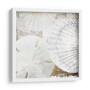 Conchas Blancas Ii - Irena Orlov | Cuadro decorativo de Canvas Lab