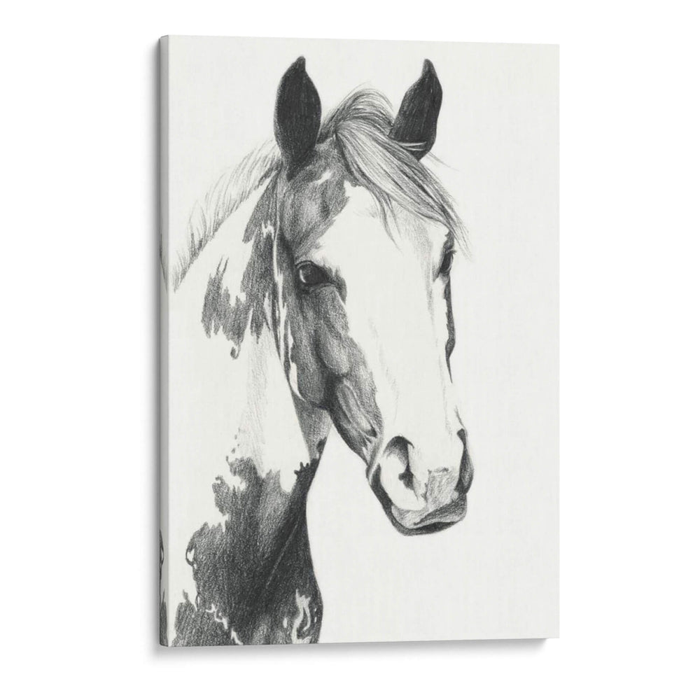 Pintura Americana I - Grace Popp | Cuadro decorativo de Canvas Lab