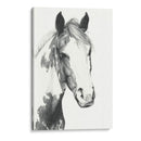 Pintura Americana I - Grace Popp | Cuadro decorativo de Canvas Lab