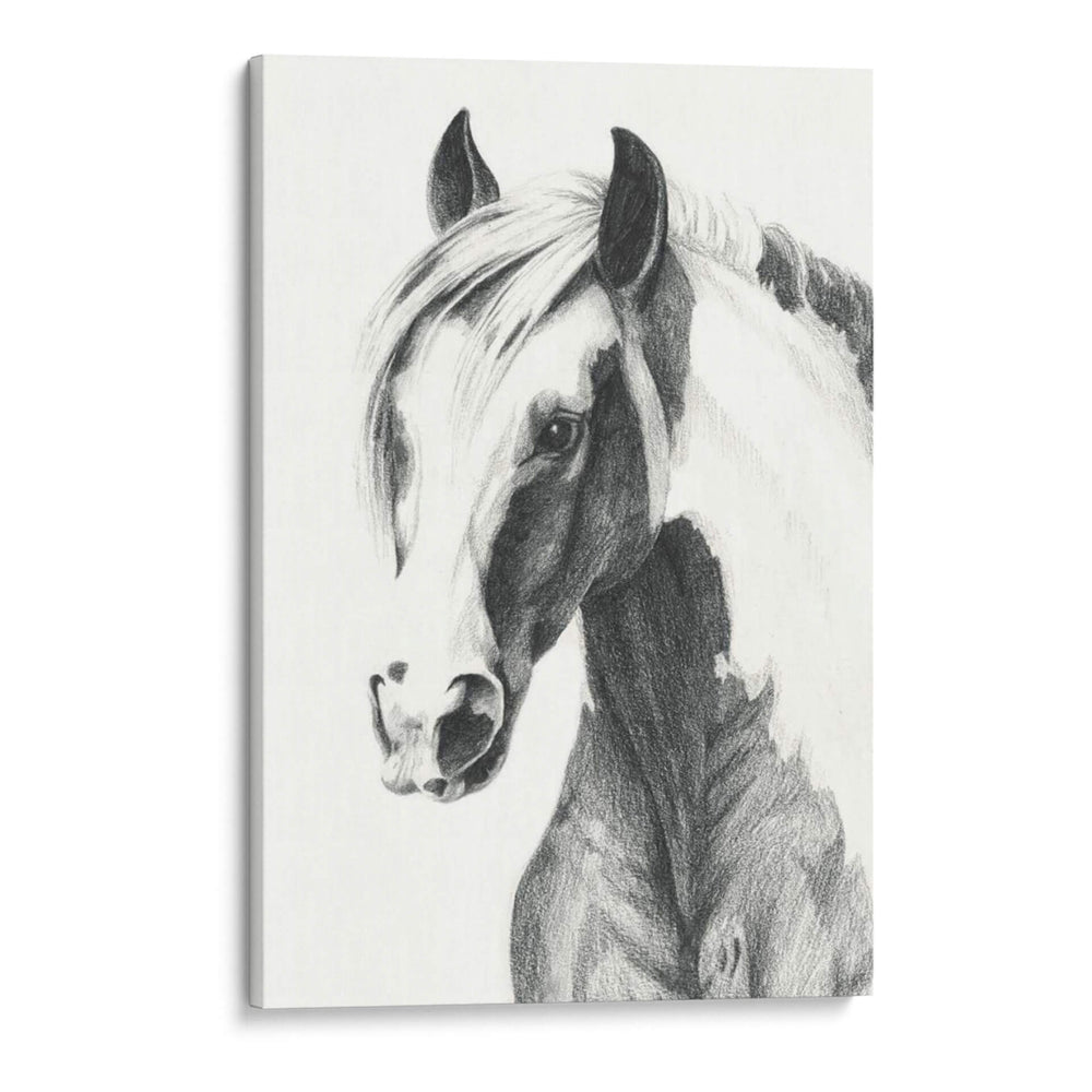 Pintura Americana Ii - Grace Popp | Cuadro decorativo de Canvas Lab