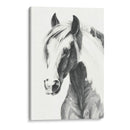 Pintura Americana Ii - Grace Popp | Cuadro decorativo de Canvas Lab