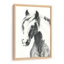 Pintura Americana Ii - Grace Popp | Cuadro decorativo de Canvas Lab