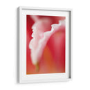 Macro Tulipio I - Jonathan Nourock | Cuadro decorativo de Canvas Lab