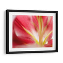 Macro Stargazer Ii - Jonathan Nourock | Cuadro decorativo de Canvas Lab