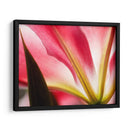 Macro Stargazer Iv - Jonathan Nourock | Cuadro decorativo de Canvas Lab