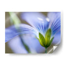 Lino Azul I - Jonathan Nourock | Cuadro decorativo de Canvas Lab