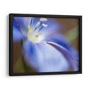 Flax Azul Ii - Jonathan Nourock | Cuadro decorativo de Canvas Lab