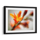 Abierta Sol I - Jonathan Nourock | Cuadro decorativo de Canvas Lab