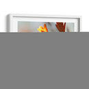 Abrir Sunshine Ii - Jonathan Nourock | Cuadro decorativo de Canvas Lab