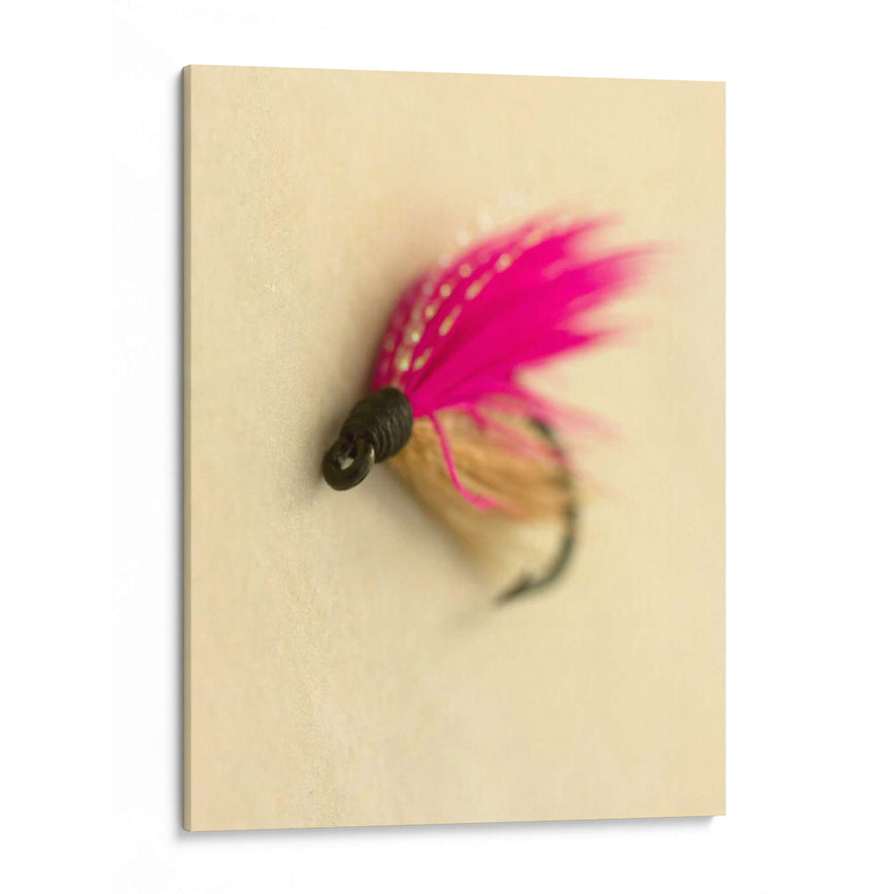 Macro Señuelo I - Judy Stalus | Cuadro decorativo de Canvas Lab