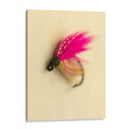 Macro Señuelo I - Judy Stalus | Cuadro decorativo de Canvas Lab