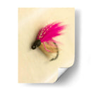 Macro Señuelo I - Judy Stalus | Cuadro decorativo de Canvas Lab