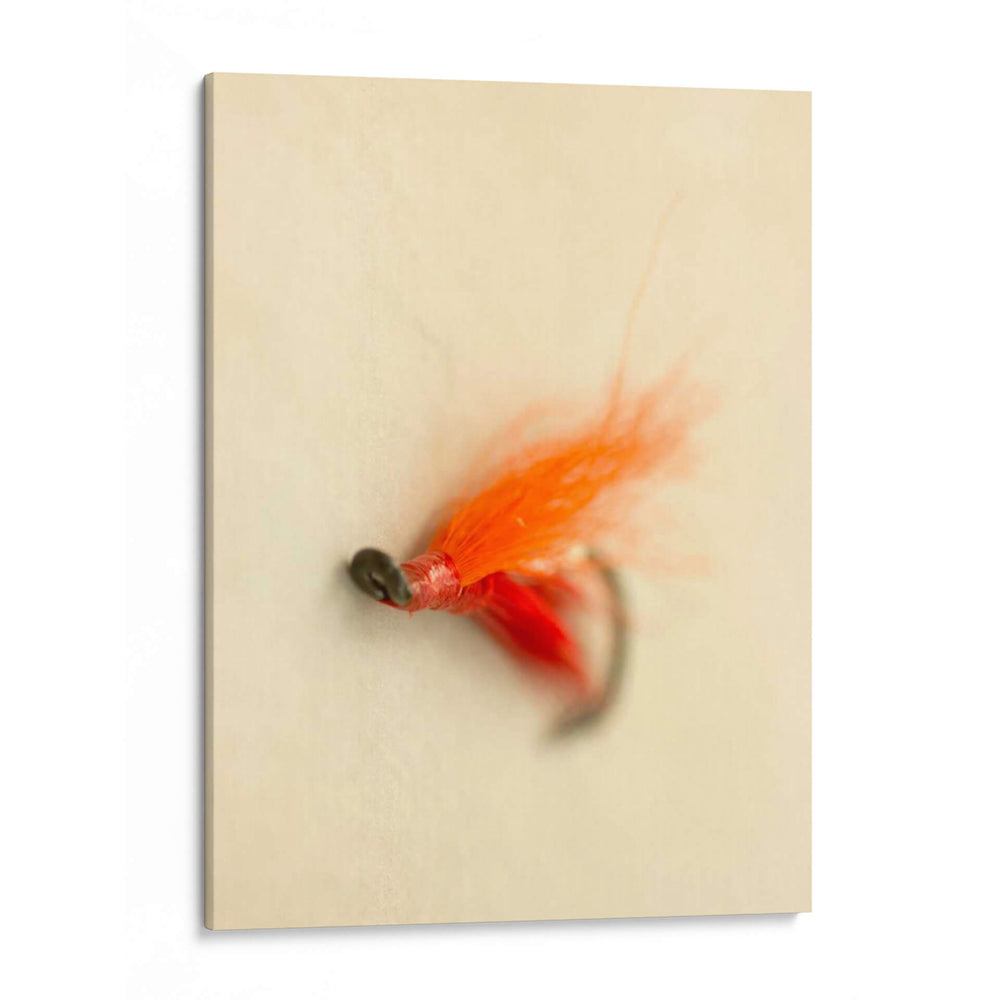 Macro Señuelo Ii - Judy Stalus | Cuadro decorativo de Canvas Lab