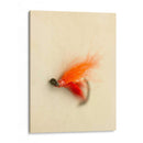 Macro Señuelo Ii - Judy Stalus | Cuadro decorativo de Canvas Lab