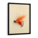 Macro Señuelo Ii - Judy Stalus | Cuadro decorativo de Canvas Lab