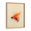 Macro Señuelo Ii - Judy Stalus | Cuadro decorativo de Canvas Lab