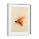 Macro Señuelo Ii - Judy Stalus | Cuadro decorativo de Canvas Lab