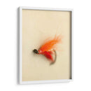 Macro Señuelo Ii - Judy Stalus | Cuadro decorativo de Canvas Lab