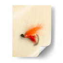 Macro Señuelo Ii - Judy Stalus | Cuadro decorativo de Canvas Lab