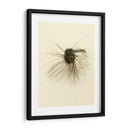 Macro Señuelo Iii - Judy Stalus | Cuadro decorativo de Canvas Lab