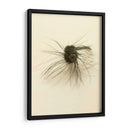 Macro Señuelo Iii - Judy Stalus | Cuadro decorativo de Canvas Lab