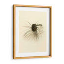 Macro Señuelo Iii - Judy Stalus | Cuadro decorativo de Canvas Lab