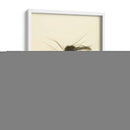 Macro Señuelo Iii - Judy Stalus | Cuadro decorativo de Canvas Lab